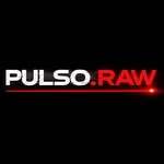 Logotipo oficial PULSO.RAW